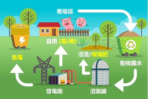 青岛海越沼气发电技术工作原理与应用场合