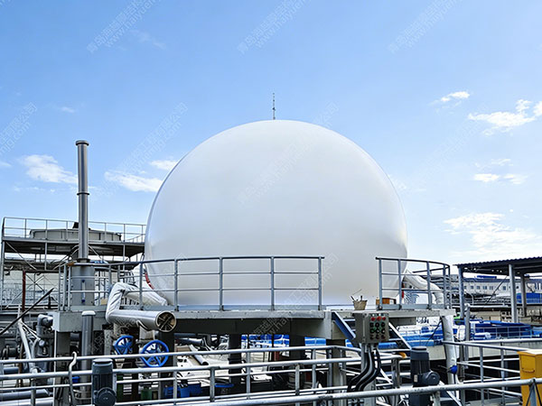 广东湛江纸业污水100m³双膜气柜工程案例图片