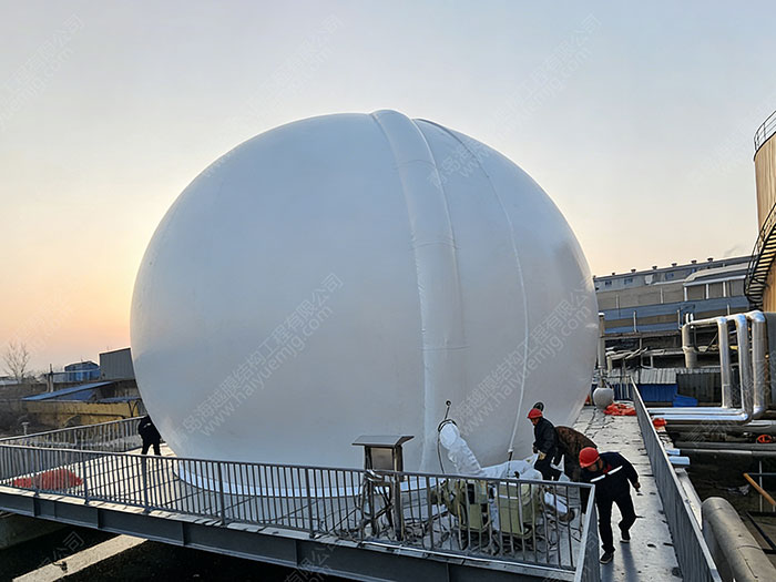 山东临沂纸业污水1000³双膜气柜 工程案例图片